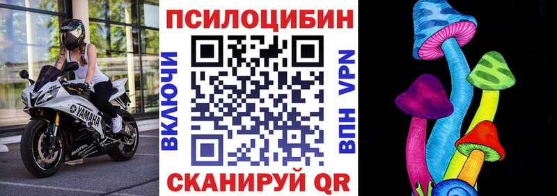 Купить закладки  Семёнов  Псилоцибиновые грибы Magic Shrooms 